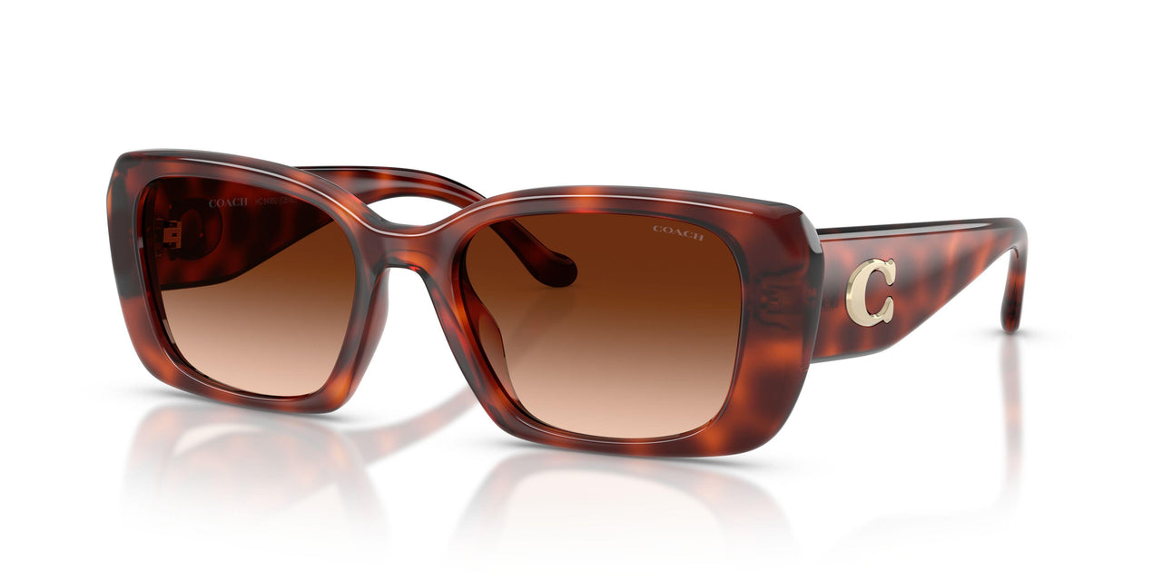 577474 - Tortoise - Brown Gradient