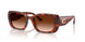 577474 - Tortoise - Brown Gradient