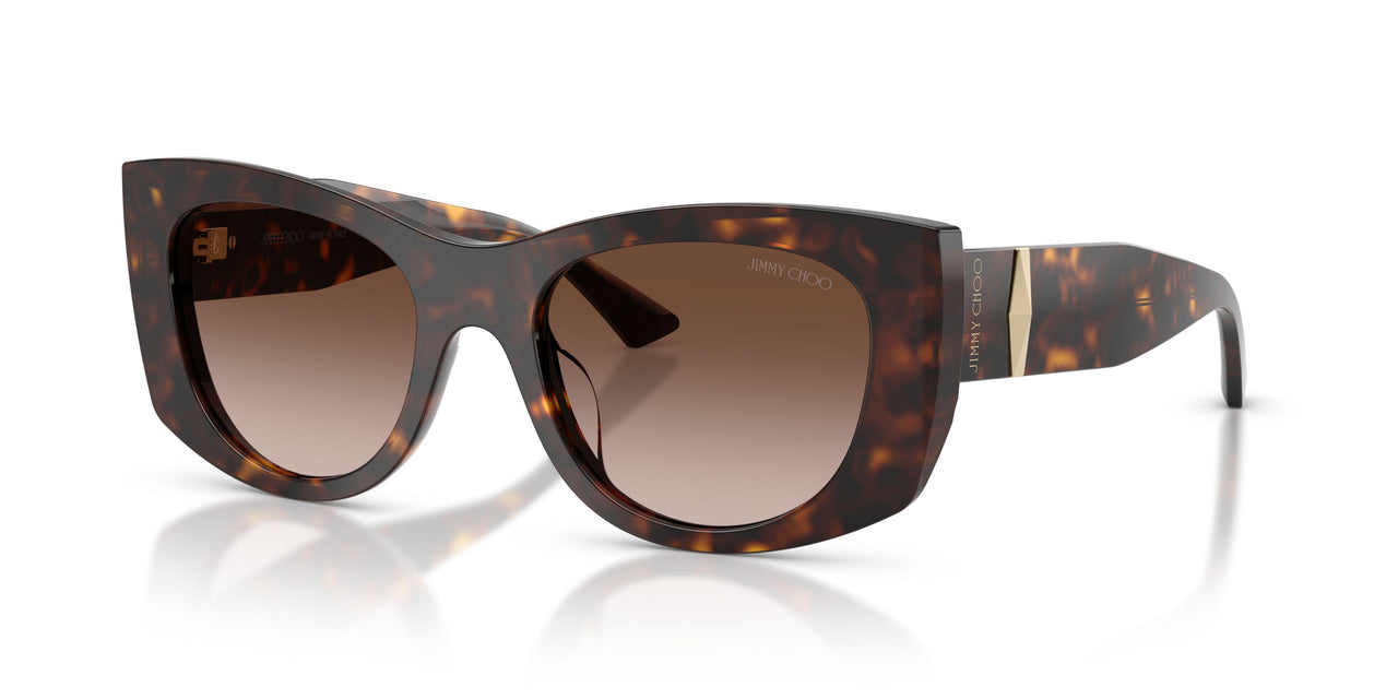 500213 - Tortoise - Brown Gradient