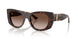 500213 - Tortoise - Brown Gradient