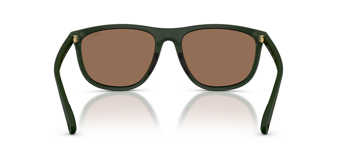 559673 - Green - Dark Brown