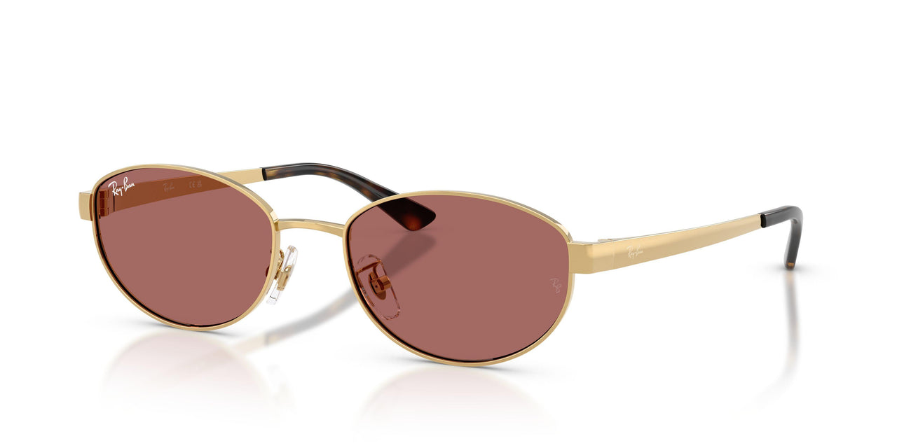 Ray-Ban 3774D Sunglasses