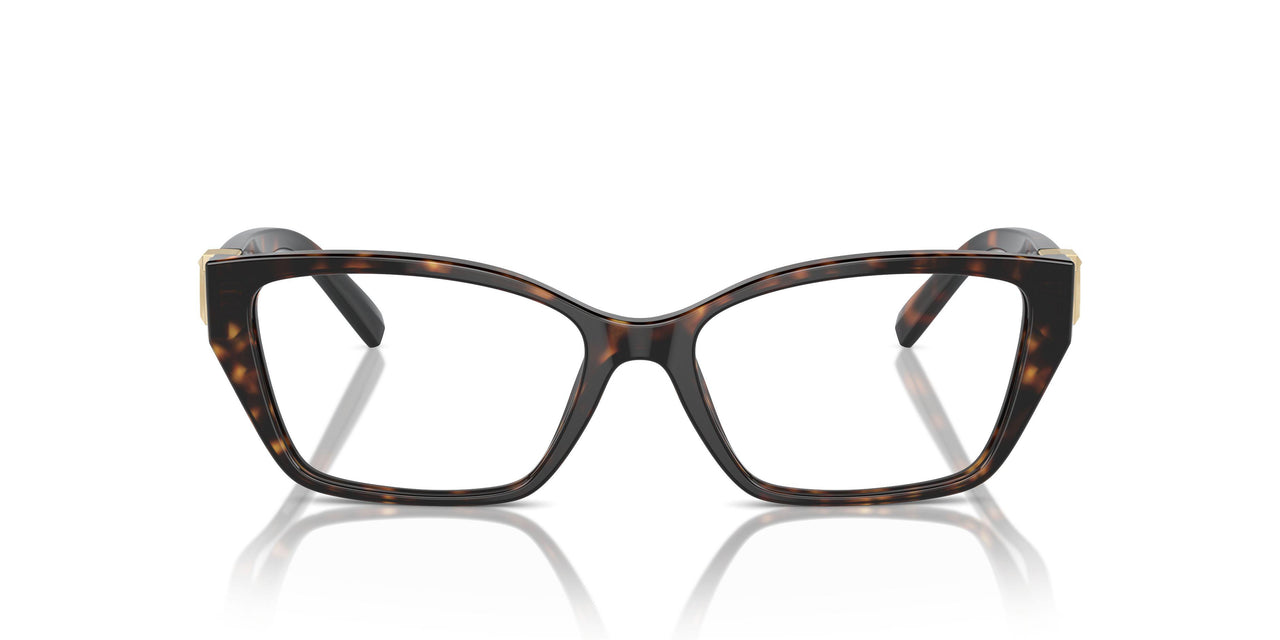 8015 - Tortoise