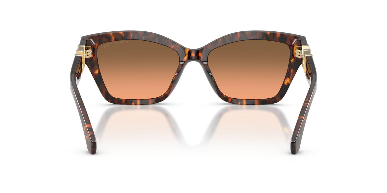 403118 - Tortoise - Grey Orange Gradient