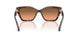 403118 - Tortoise - Grey Orange Gradient