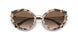 07D0A6 - Havana - Brown Gradient