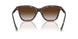 80153B - Tortoise - Brown Gradient