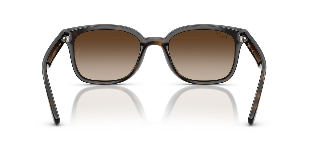 710/13 - Tortoise - Gradient Brown
