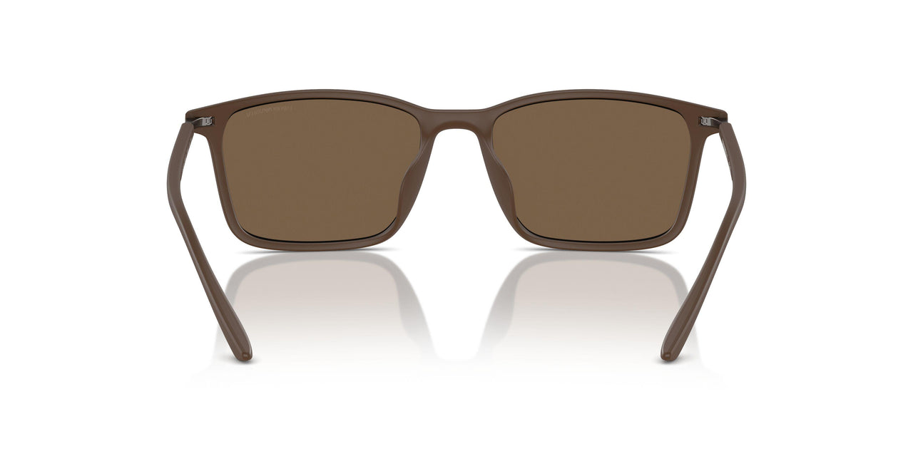 610573 - Brown - Dark Brown