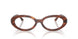 2144 - Brown - Clear