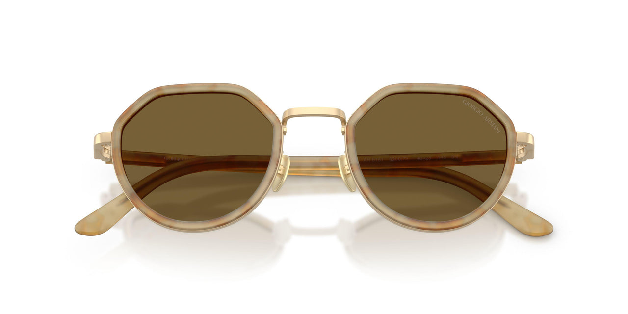 630073 - Tortoise - Dark Brown