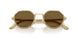 630073 - Tortoise - Dark Brown