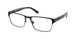 Polo 1175 Eyeglasses