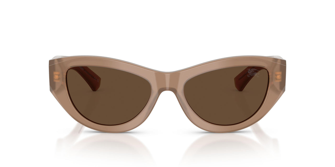 425873 - Beige - Dark Brown