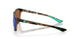 900508 - 249 Matte Shadow Tortoise - Green Mirror 580p