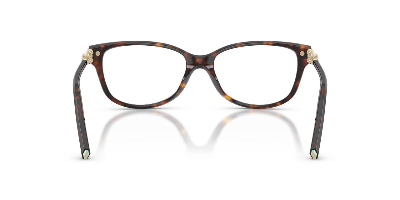 8015 - Tortoise