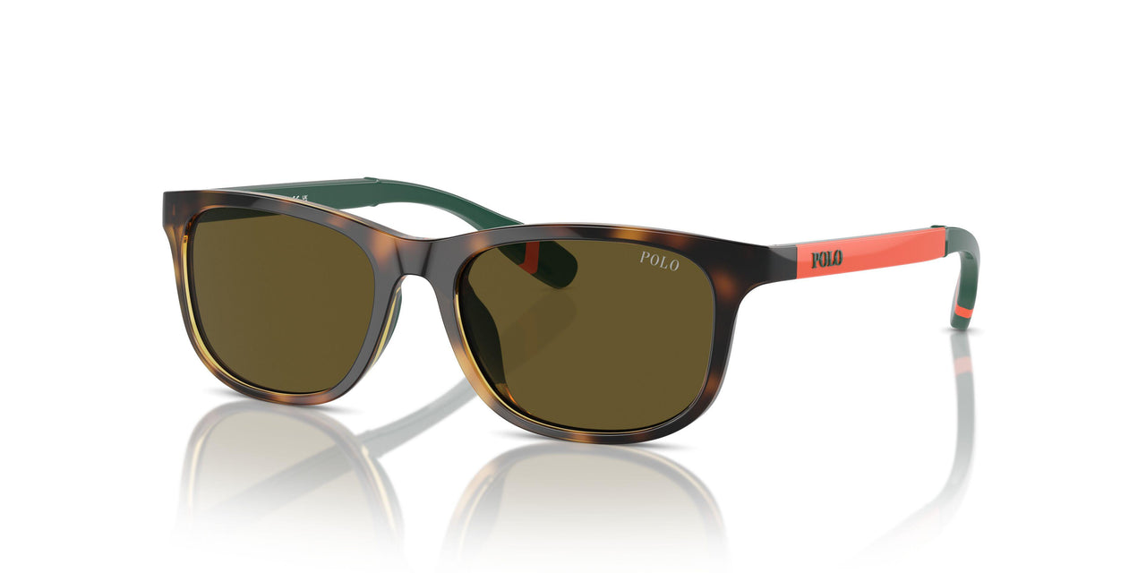 500373 - Tortoise - Olive Green