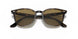 710/73 - Havana - Brown