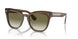 16258E - Brown - Olive Gradient
