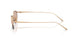 341173 - Gold - Light Brown