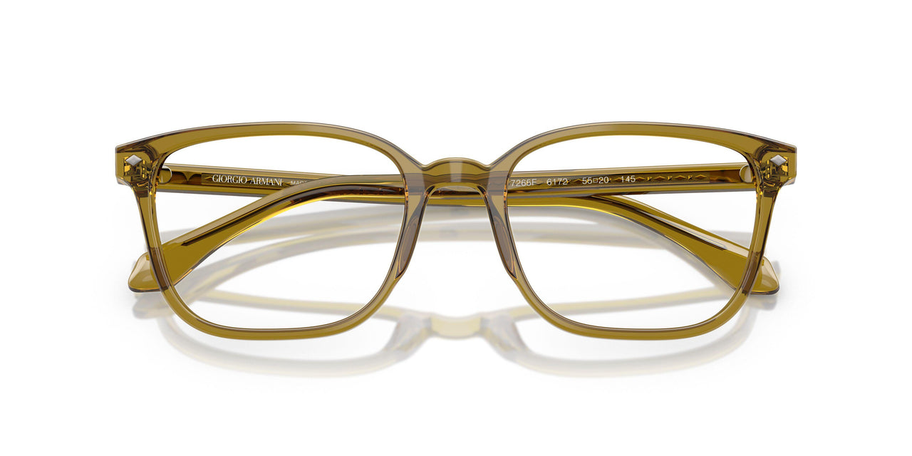 6172 - Brown