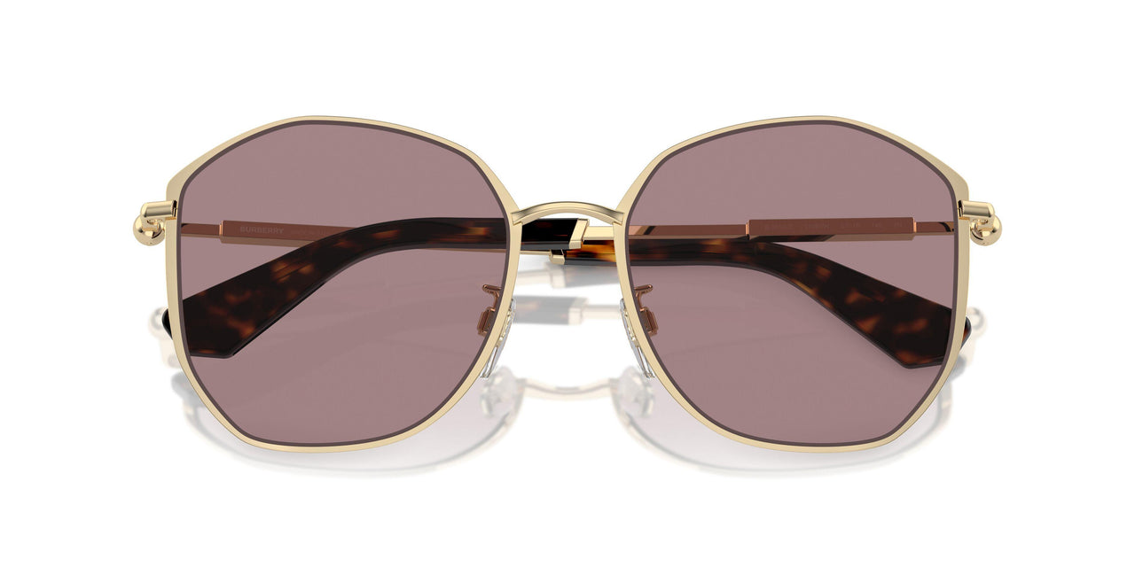 11097N - Gold - Light Purple Brown