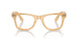 8383 - Brown - Clear