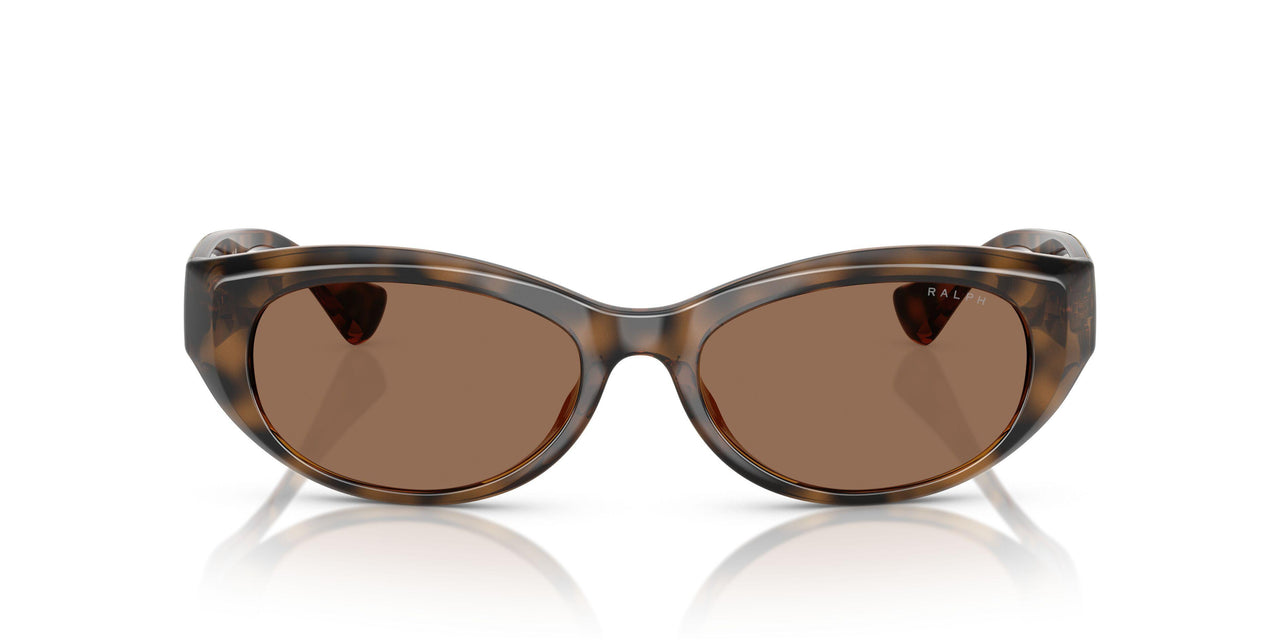 614973 - Tortoise - Dark Brown