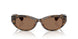 614973 - Tortoise - Dark Brown