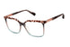 Ted Baker TLW011 Eyeglasses