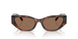 624173 - Tortoise - Brown