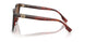 201173 - Tortoise - Dark Brown