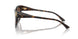 500213 - Tortoise - Gradient Brown