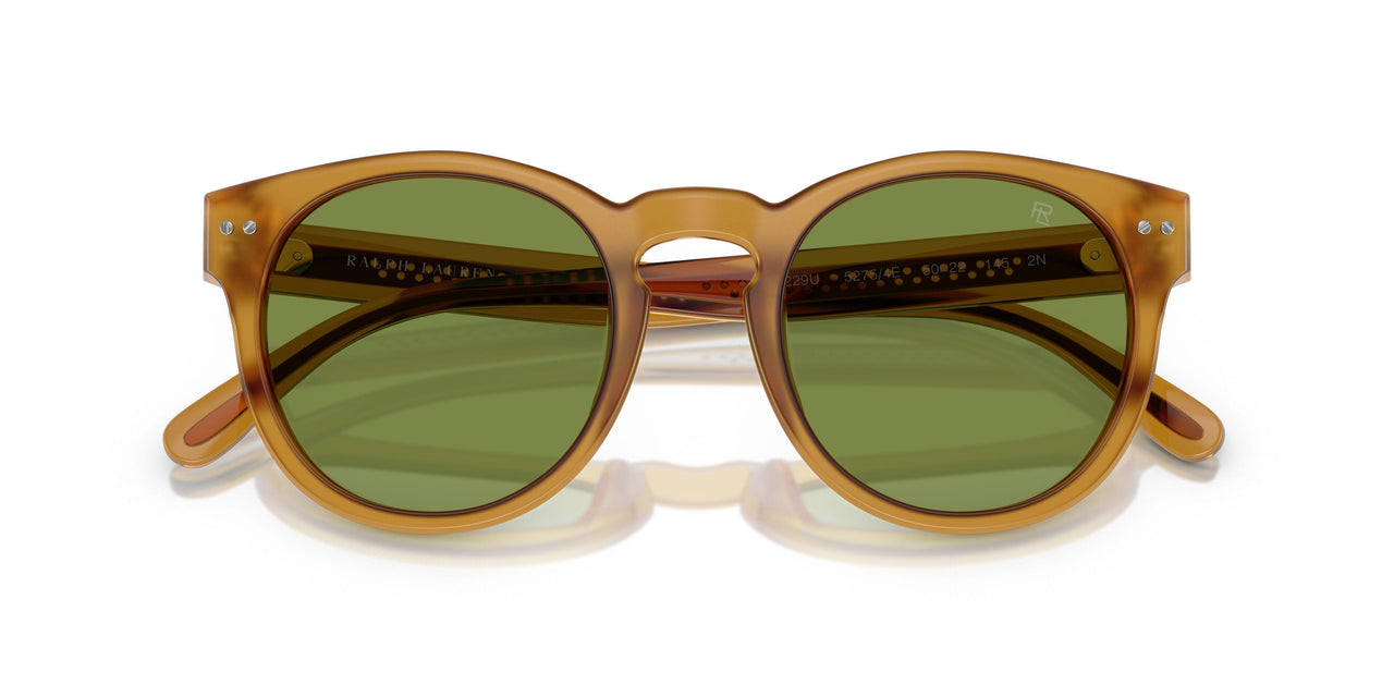 52754E - Tortoise - Solid Green