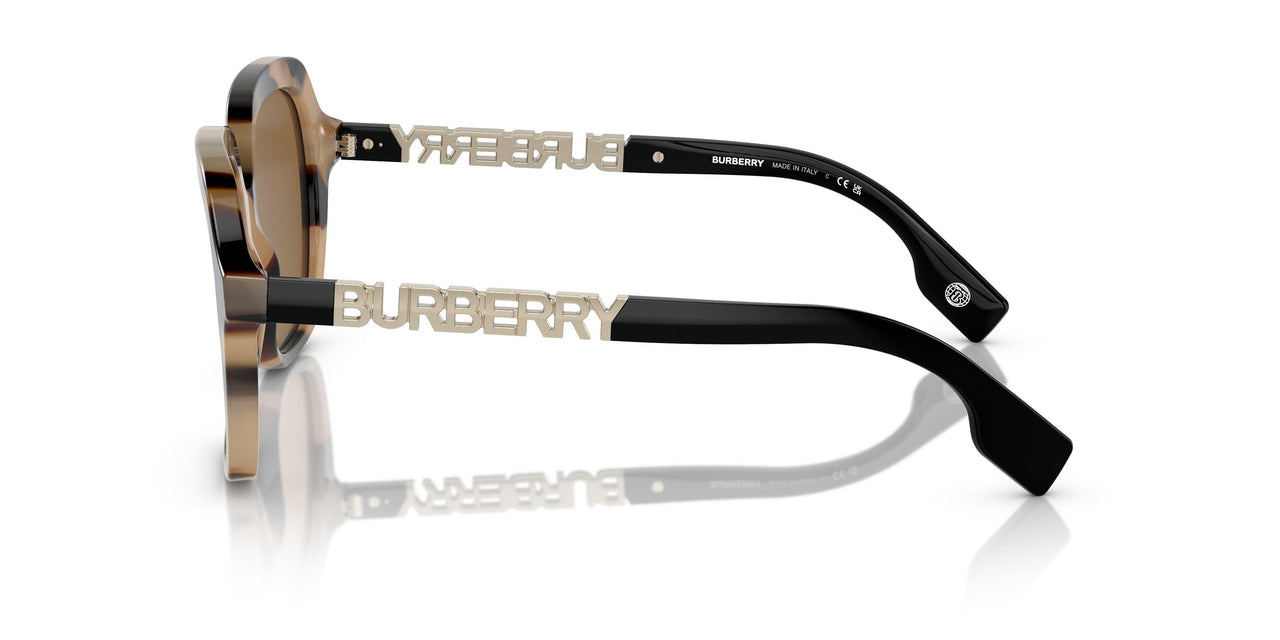 350173 - Brown - Bronze