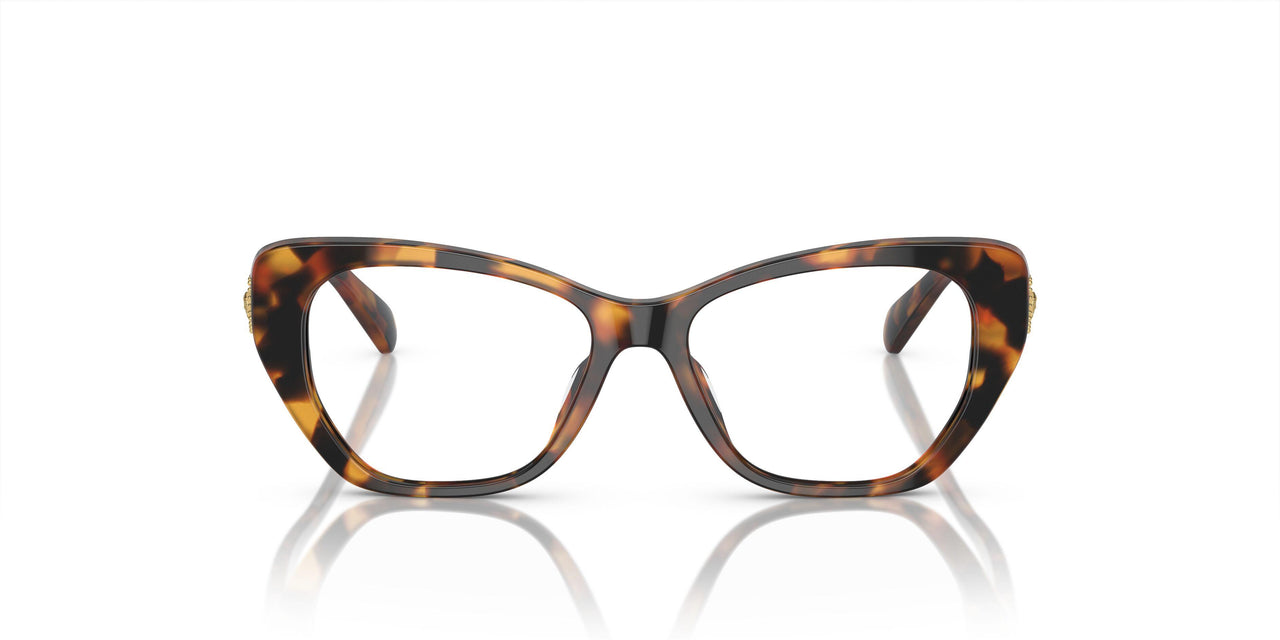 5119 - Tortoise
