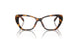 5119 - Tortoise