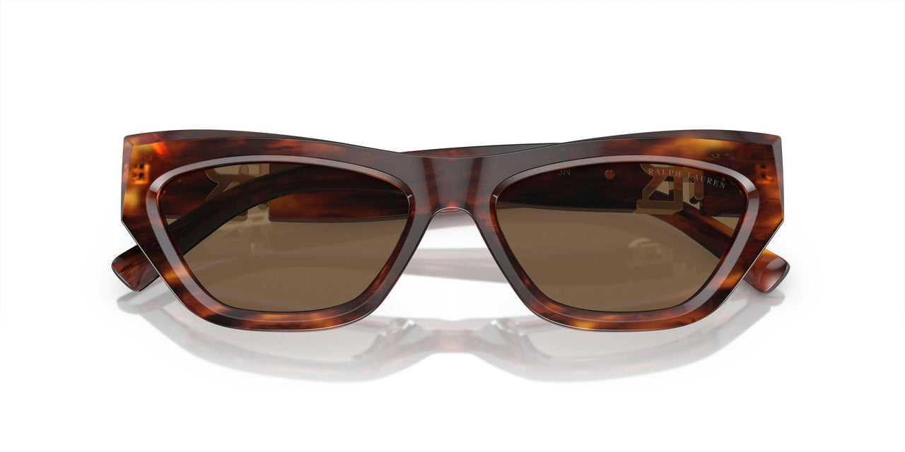 500773 - Brown - Brown