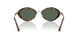 403171 - Tortoise - Green