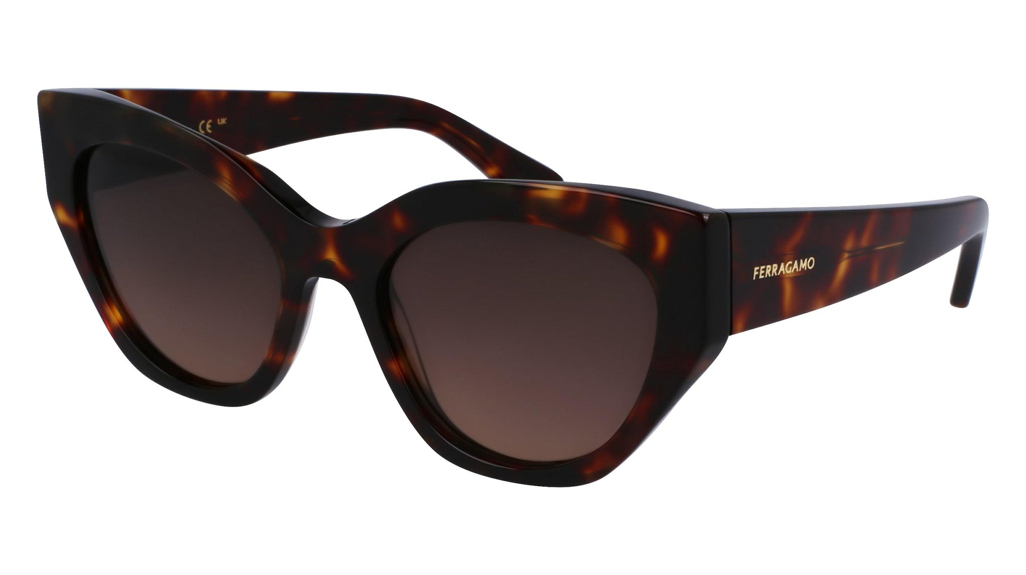 Salvatore Ferragamo SF1107S Sunglasses display picture 3