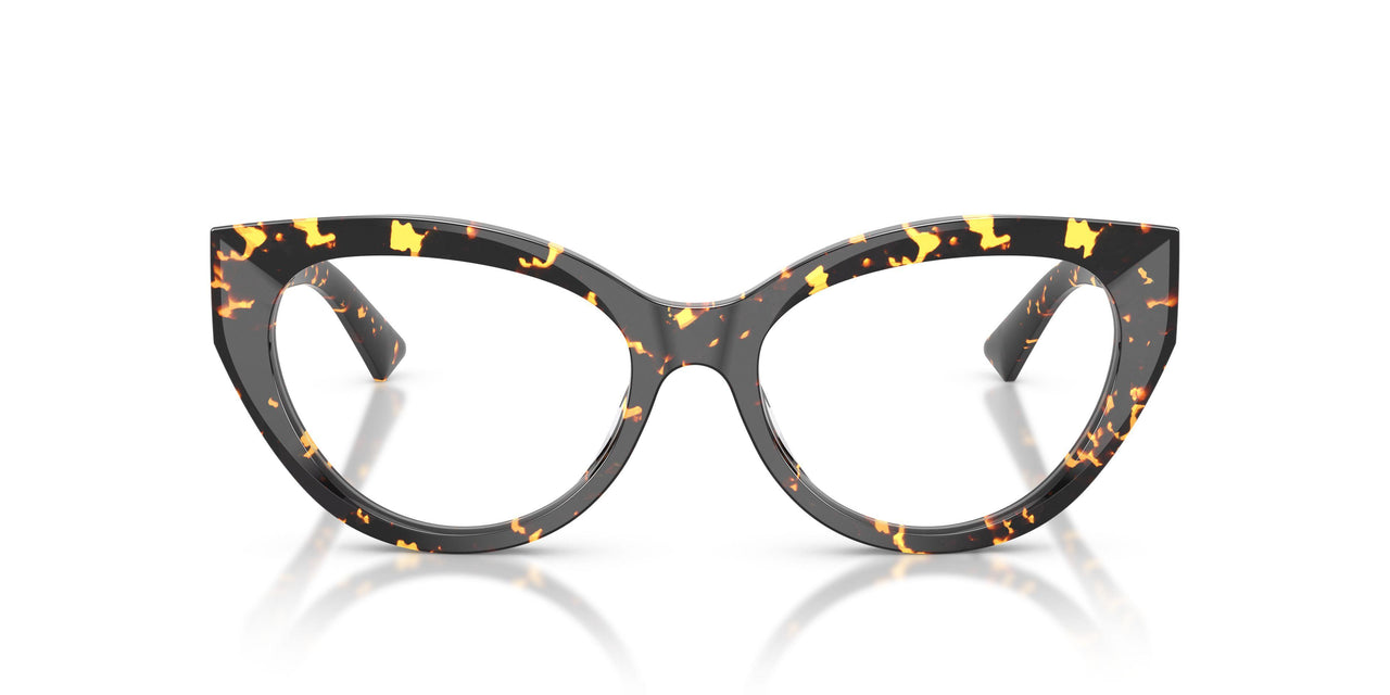 5119 - Tortoise