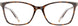 Cinzia CIN5177 Eyeglasses