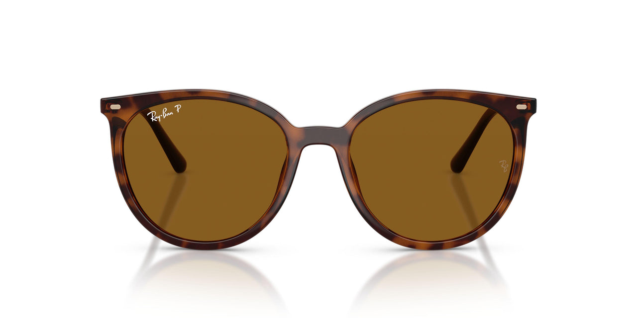 710/83 - Brown - Dark Brown Polarized
