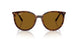 710/83 - Brown - Dark Brown Polarized