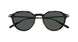 002 - Havana/Gold - Green