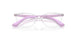 3979 - Transparent - Demo Bio