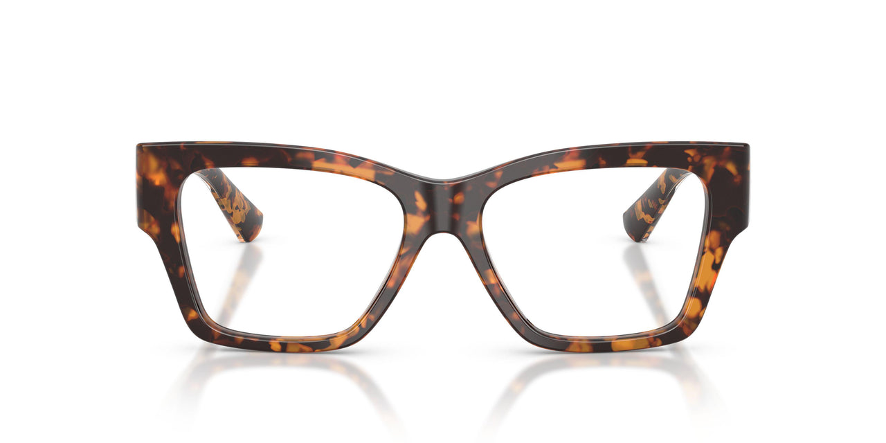 5121 - Tortoise