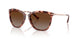 500313 - Gradient Brown
