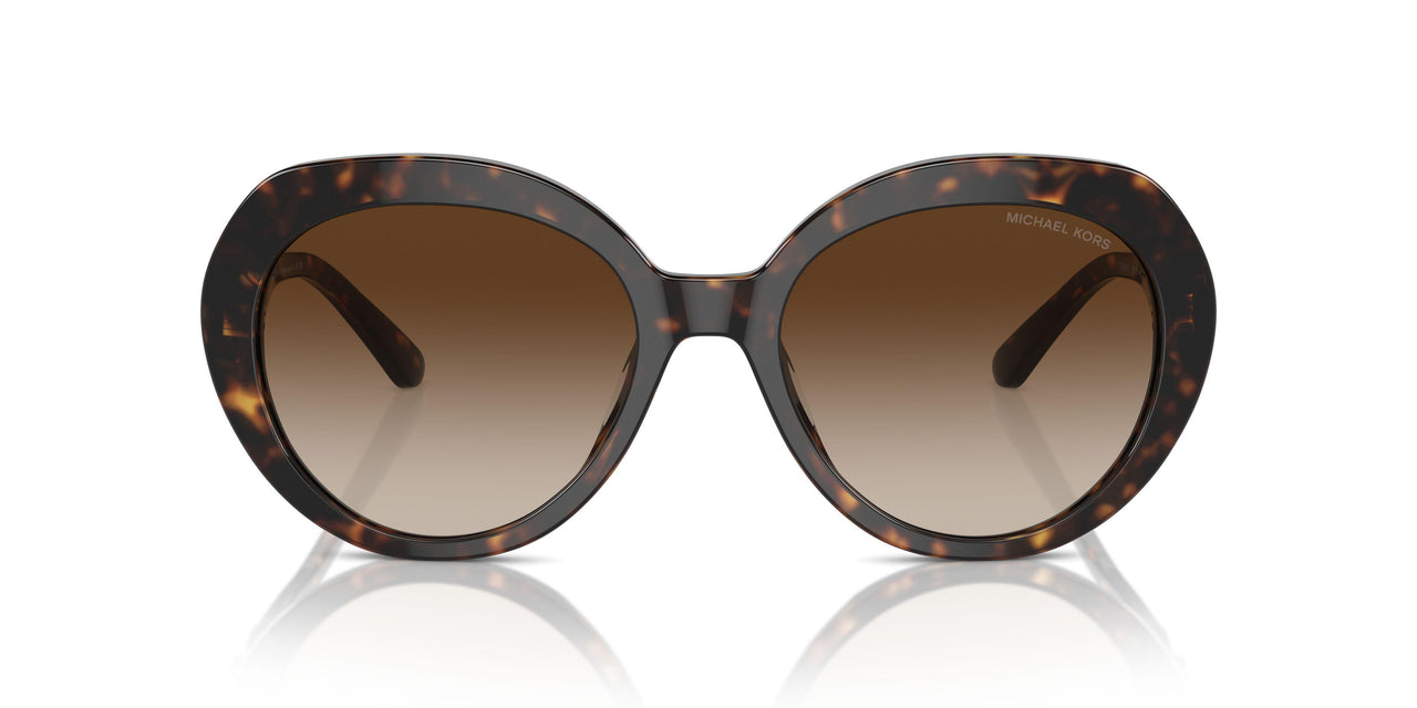 300613 - Tortoise - Brown Gradient