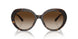 300613 - Tortoise - Brown Gradient
